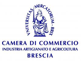 CAMERA DI COMMERCIO DI BRESCIA LOGO